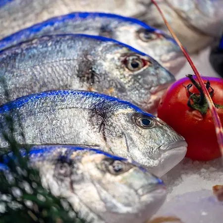 Ida Colors Hotel Altınoluk